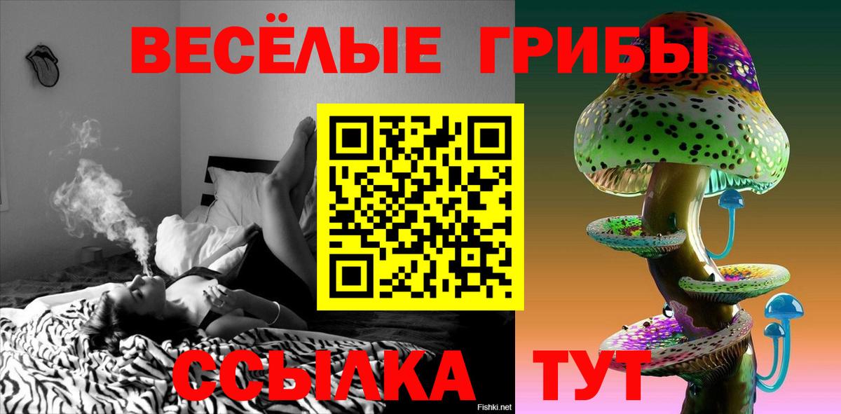 Галлюциногенные грибы Cubensis  Вход с VPN  Сургут  Псилоцибиновые грибы GOLDEN TEACHER 